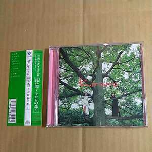 Kiroro「長い間　〜キロロの森〜」邦オリジナルCD　1998年　帯付き　1st Album　