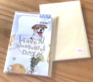 ★多目的カード　メッセージカード　犬　クリームイエロー　２個１セット　Ｇａｋｋｅｎ　ＴＨ