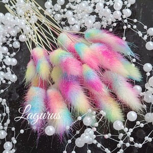 加工花材* レインボー ラグラス プリザーブドフラワー ハーバリウム 花材