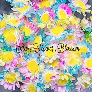 加工花材* レインボー スターフラワー ブロッサム プリザーブドフラワー 花材