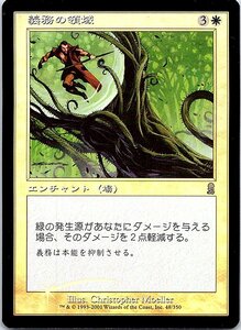 FOIL/義務の領域/Sphere of Duty/オデッセイ/日本語版/MTG１枚 [FC]