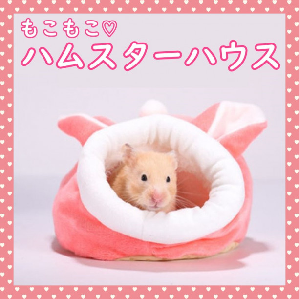 小動物用品 | 日本のオークション・通販ショッピングの代理入札・購入 
