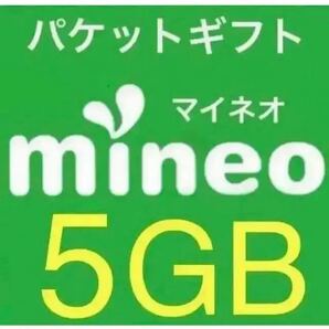 マイネオ パケットギフト5GB