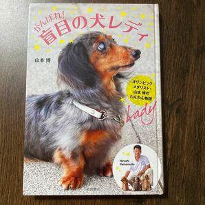 がんばれ！盲目の犬レディ