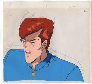  Yu Yu Hakusho cell picture 3 # original picture illustration 