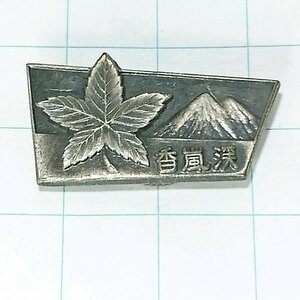 送料無料)香嵐渓 昭和レトロ ご当地 観光地 登山 山登り 旅行 記念 山バッジ ピンバッジ PINS ピンズ A10945