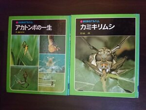 Ba4 00787 科学のアルバム (10) アカトンボの一生(著:佐藤有恒) (65) カミキリムシ(著:岸田功) 2冊セット あかね書房