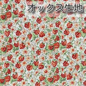 リバティ 別注 アシュテッド 濃レッド 生地幅×52cm オックス生地
