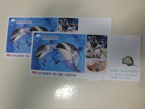 新江ノ島水族館 招待券 ２枚　９月30日まで 送料無料！