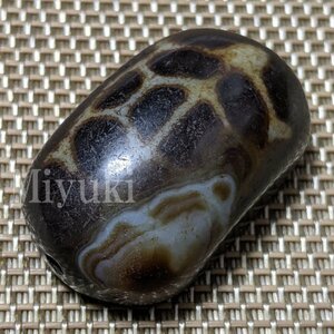 .. heaven .BA07407 rare article turtle. . pattern 37x23x16mm turtle heaven . turtle . heaven . flat type heaven . rare rare .. thing special heaven .