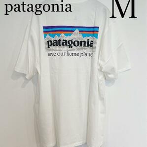 patagonia パタゴニア Tシャツ 半袖 シャツ 37529 新品 M