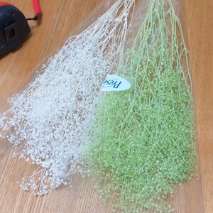 かすみ草カスミ草ミントグリーン プリザーブドフラワー ドライフラワー 大地農園 フラワーアレンジメント ハーバリウム髪飾りはな
