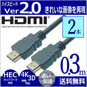 ★☆『２本セット』HDMIケーブル 30cm 3D ネットワーク 4KフルHD対応 Ver2.0 高速・高品質 2HDMI-03x2【送料無料】★☆