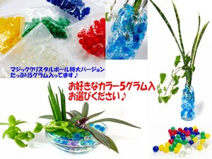 【オレンジ５ｇ】観葉植物切り花の水の代わりにハイドロカルチャーマジッククリスタルボール　ジェリーボール植物のお世話がかんたん綺麗