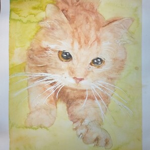 黄緑色の子猫の絵 水彩画 手描きイラスト