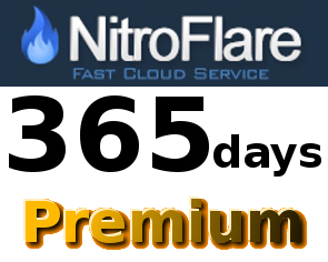 即日発送！NitroFlare プレミアム 365日間 初心者サポート