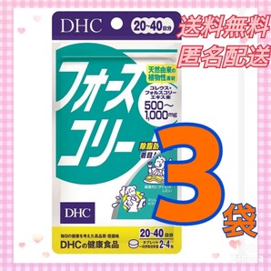 DHC フォースコリー 20日~40日分×3袋