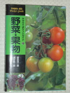 yama Kei pocket guide 21[ vegetable * fruit ] gold rice field . one .* full rice field new one . mountain ... company 