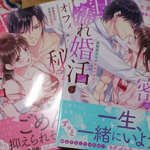オフィスで秘密の甘濡れ婚活 上下巻