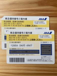 ANA 全日空 株主優待券 有効期限22年11月末_2枚バラ可能