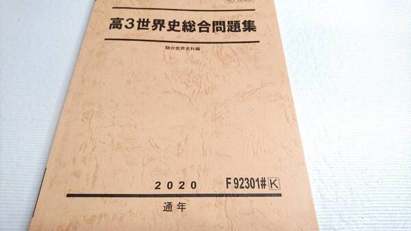 駿台 20年度通期 高3世界史総合問題集 河合塾 駿台 京大 共通テスト Z会 東進 SEG