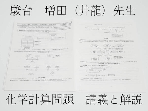 駿台 増田先生 化学計算問題講義・解説プリント 化学特講Ⅰ 19年 河合塾 駿台 京大 共通テスト Z会 東進 SEG