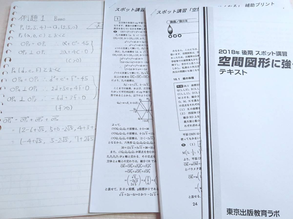 最新年度対応 大数ゼミ 整数問題完全攻略ゼミ プリント・板書 東大