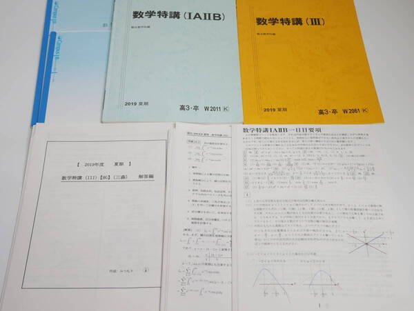 駿台 19年度夏期 数学特講ⅠAⅡB Ⅲ 杉山・三森先生 講義解説・プリント 河合塾 鉄緑会 東進 Z会 SEG