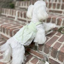 XL リーフ レース キャミソール ワンピース （緑） 犬服 猫服 夏 犬の服 小型犬 ドッグウェア_画像2