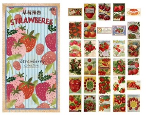 ◆海外ステッカー　シール　No5-8　いちご・苺・ストロベリー・strawberry　手帳・日記・ジャンクジャーナル・コラージュに
