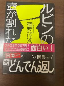 ルビンの壺が割れた （新潮文庫　や－８１－１） 宿野かほる／著