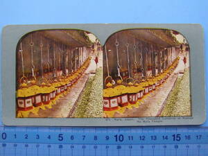 (1f208) 写真 戦前 古写真 ステレオ写真 奈良 春日宮 たくさんの灯籠 風俗 双眼写真 立体写真 パノラマ写真