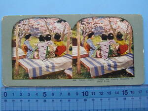 (1f208) 写真 戦前 古写真 ステレオ写真 東京 満開の桜 花見 少女 風俗 双眼写真 立体写真 パノラマ写真