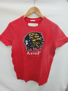 アバクロンビー＆フィッチAbercrombie & Fitsh Tシャツ　サイズS