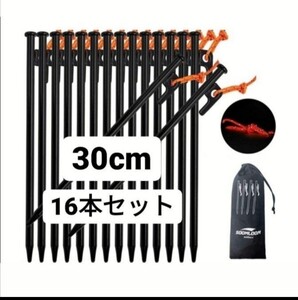 新品 スチールペグ 30cm 16本セット 収納袋セット 鋳造ペグ ソリッドステーク エリッゼステーク ソリステ エリステ