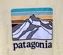 パタゴニア Tシャツ Mサイズ ラインロゴリッジポケットレスポンシビリティー PATAGONIA 38511 メンズ ISLY イエロー系_画像4