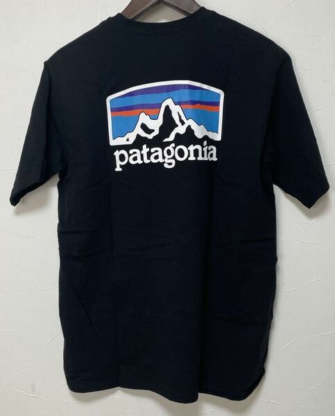 パタゴニア Tシャツ Sサイズ メンズ フィッツロイ ホライゾンズ レスポンシビリティー PATAGONIA 38501 BLK