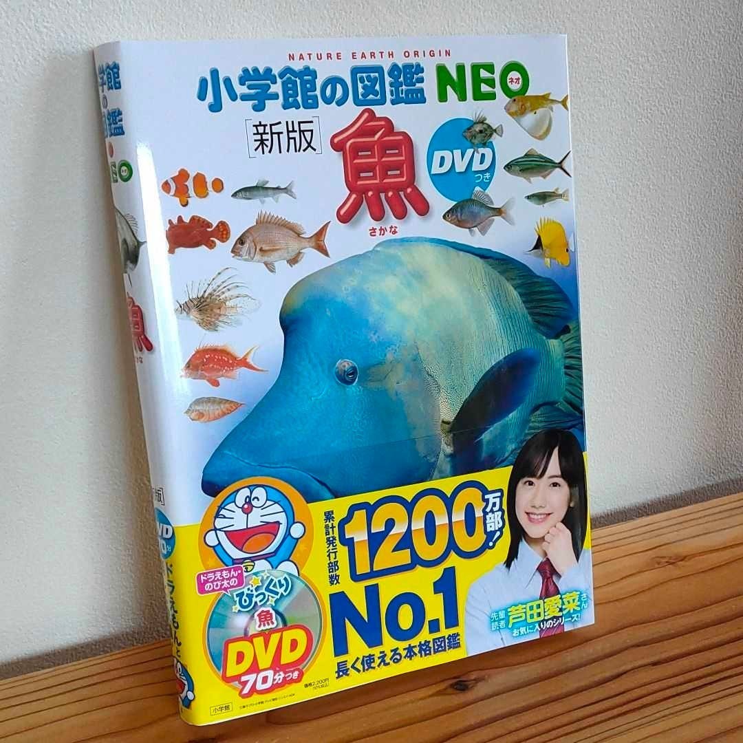 小学館の図鑑のみ枚セット 時間指定不可 %割引