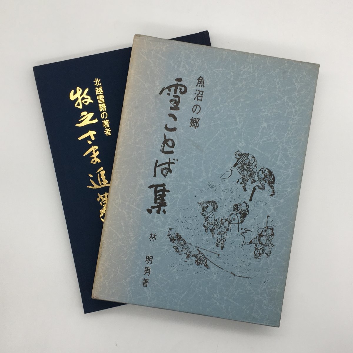北越雪譜』の値段と価格推移は?|62件の売買情報を集計した『北越雪譜 ...