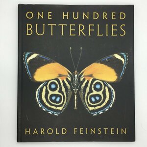大判『One Hundred Butterflies』 　洋書　 Harold Feinstein　昆虫　蝶　写真集　ハロルド・ファインスタイン　