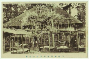 千葉 花見川区 長作 長胤寺 夫婦梅