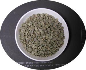 コーヒー生豆 １０キロ　コロンビアプレミアム スプレモ上級品