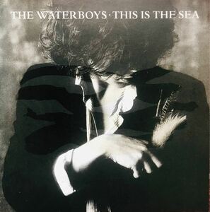 THE WATERBOYS ザ・ウォーターボーイズ THIS IS THE SEA 自由への航海 国内盤 CD 解説付き