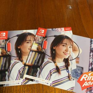 Nintendo Switch 、新垣結衣、パンフレット2枚、配布チラシ