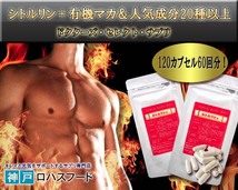 【オススメ品】シトルリンα+有機マカ＆人気素材20種以上配合！2袋セット120粒入り！男性に人気のメンズサプリ！_画像2