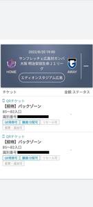 格安★サンフレッチェ広島 vs ガンバ大阪 バックゾーンペア(QRチケット2枚)④★ 8月20日(土)エディオンスタジアム広島