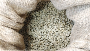 コーヒー生豆100g×6袋(ブラジル,コロンビア,グアテマラ各200g)