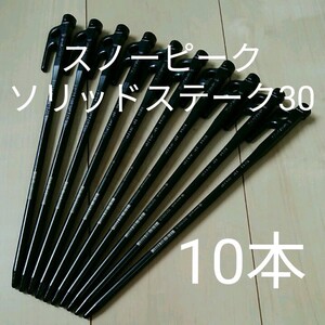 【新品・未使用】スノーピーク ソリッドステーク30 10本セット