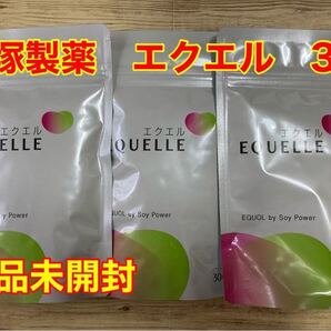 【新品未開封】大塚製薬 エクエル パウチ120粒×3袋セット(約90日分)