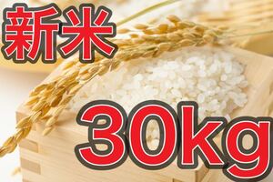 ★山口県産 コシヒカリ 30kg 玄米 低農薬 令和3年度産 検査済み 2等級 ★